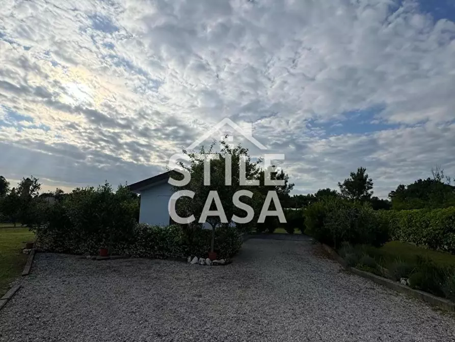 Immagine 17 di Terreno agricolo in vendita  a Castelfranco Di Sotto