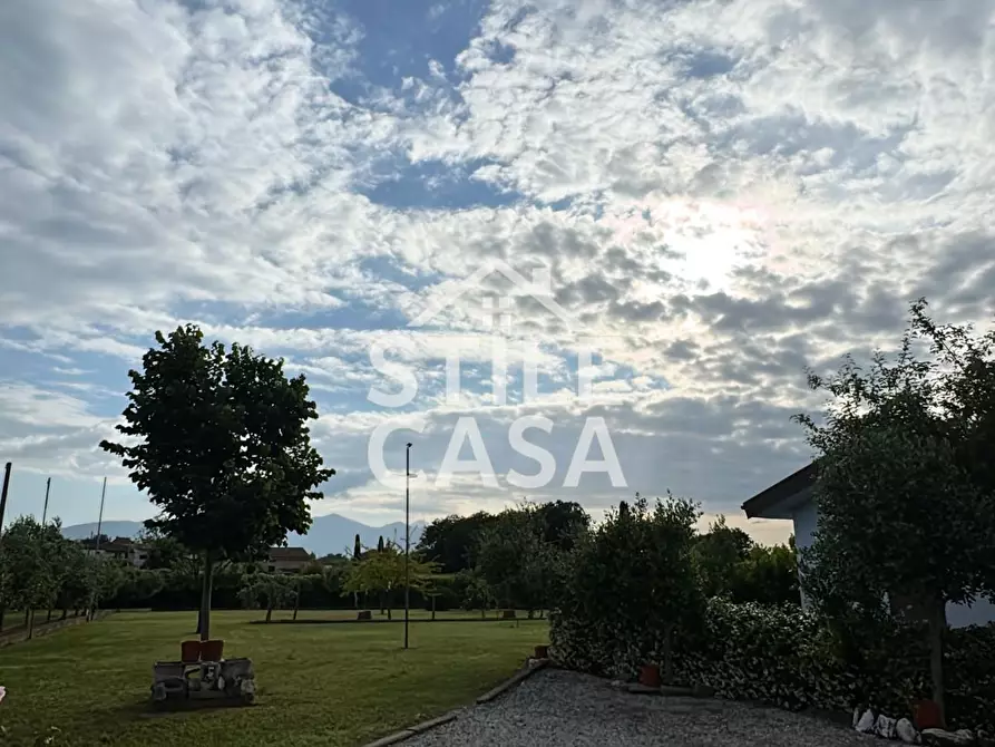 Immagine 2 di Terreno agricolo in vendita  a Castelfranco Di Sotto