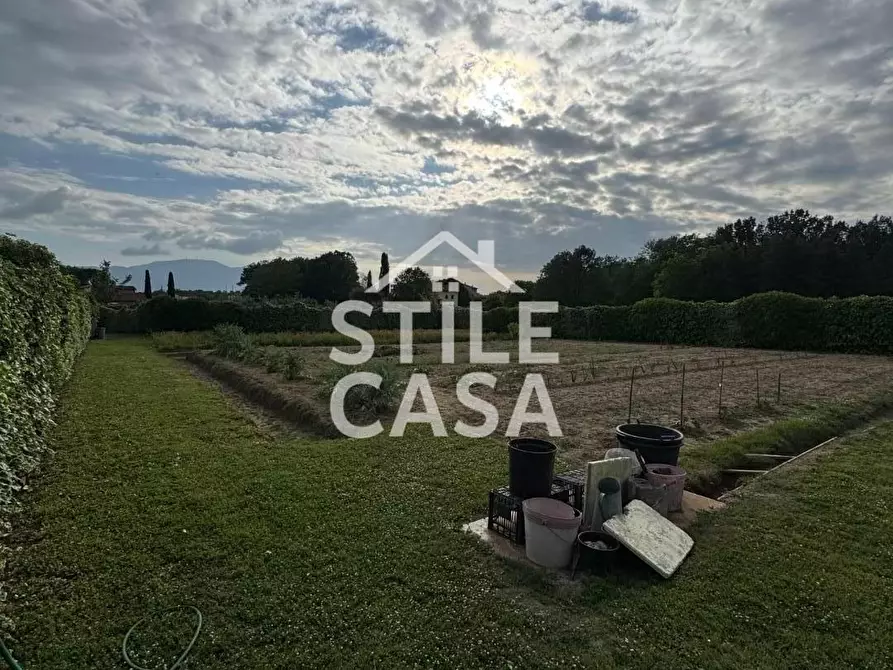 Immagine 14 di Terreno agricolo in vendita  a Castelfranco Di Sotto