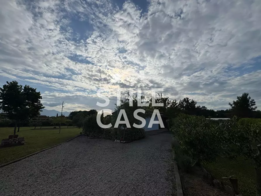 Immagine 18 di Terreno agricolo in vendita  a Castelfranco Di Sotto