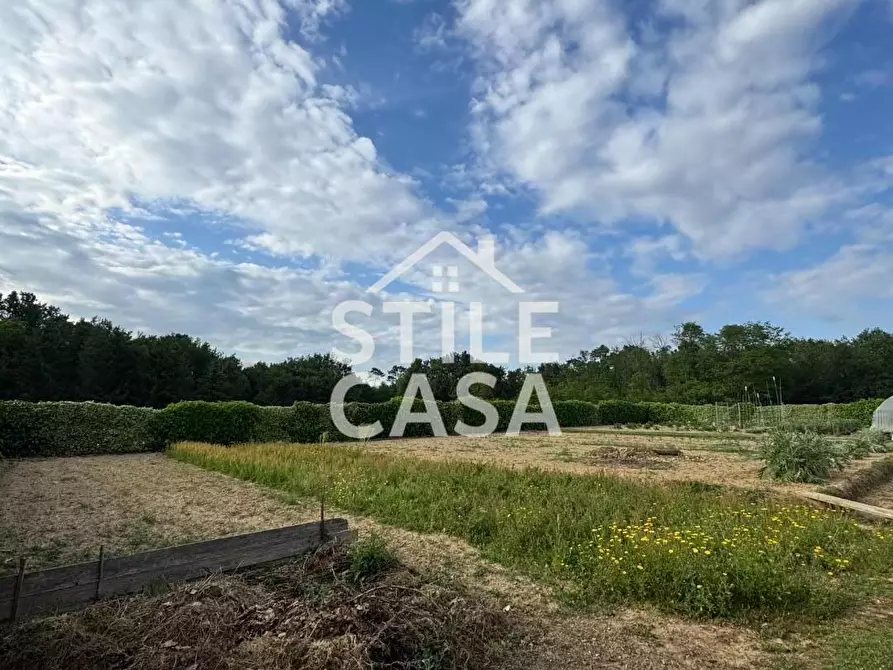 Immagine 12 di Terreno agricolo in vendita  a Castelfranco Di Sotto