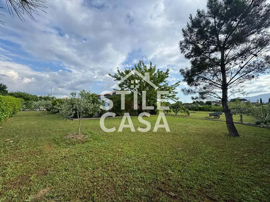 Immagine 16 di Terreno agricolo in vendita  a Castelfranco Di Sotto