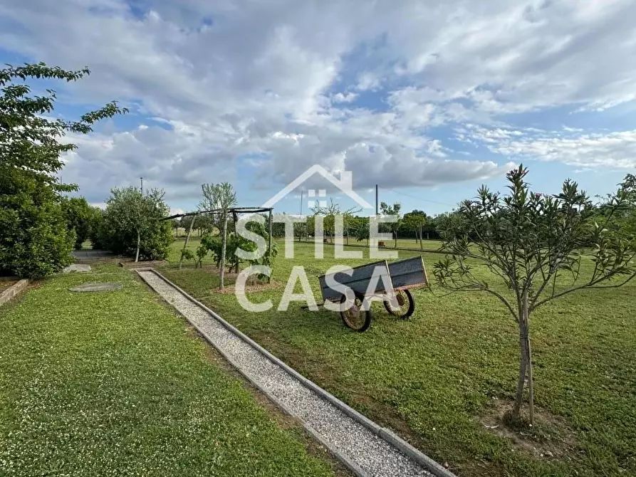 Immagine 15 di Terreno agricolo in vendita  a Castelfranco Di Sotto