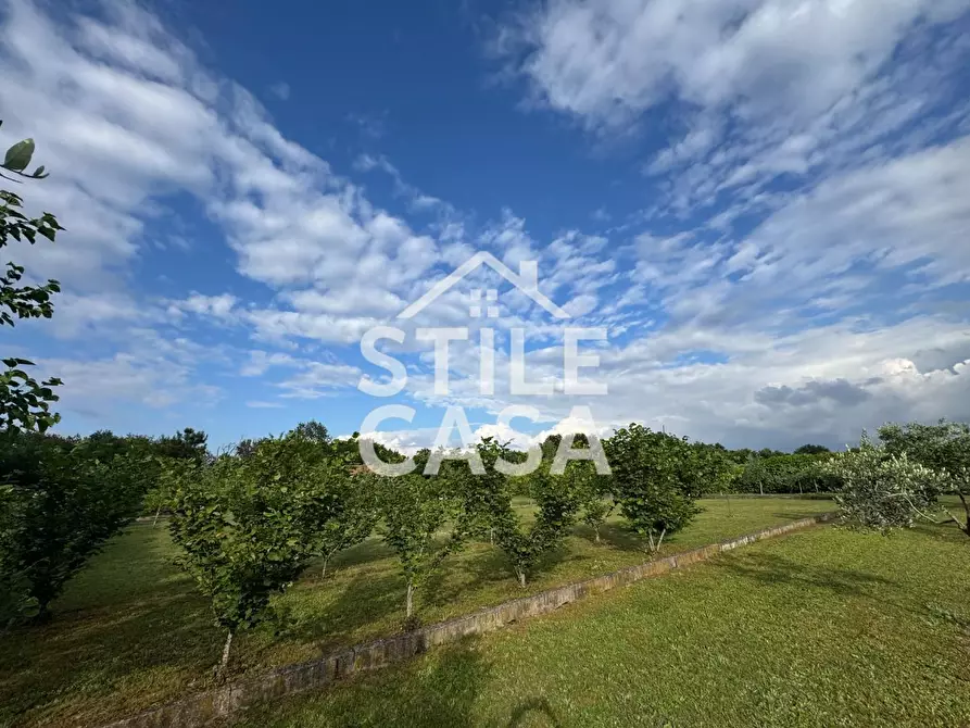 Immagine 6 di Terreno agricolo in vendita  a Castelfranco Di Sotto