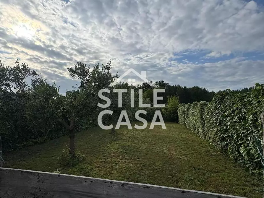 Immagine 10 di Terreno agricolo in vendita  a Castelfranco Di Sotto