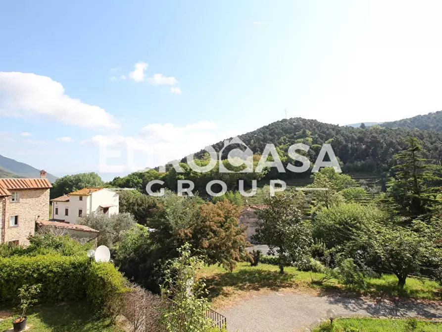 Immagine 2 di Appartamento in vendita  a Lucca