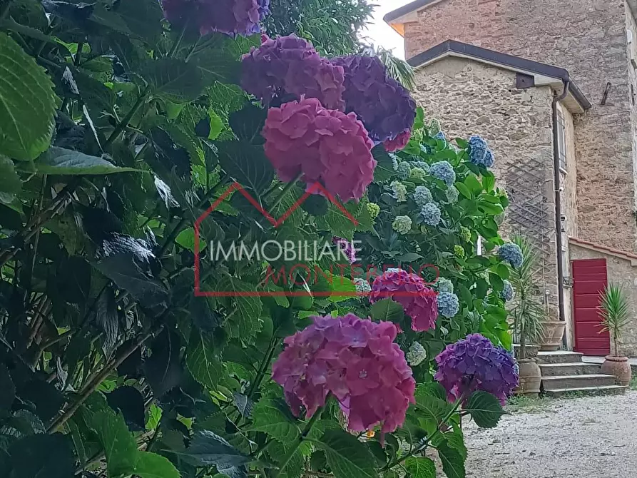 casa indipendente in vendita a Pietrasanta in zona Valdicastello