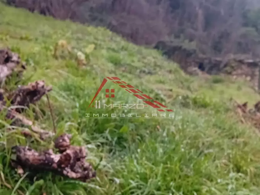 Immagine 16 di Porzione di casa in vendita  a Seravezza