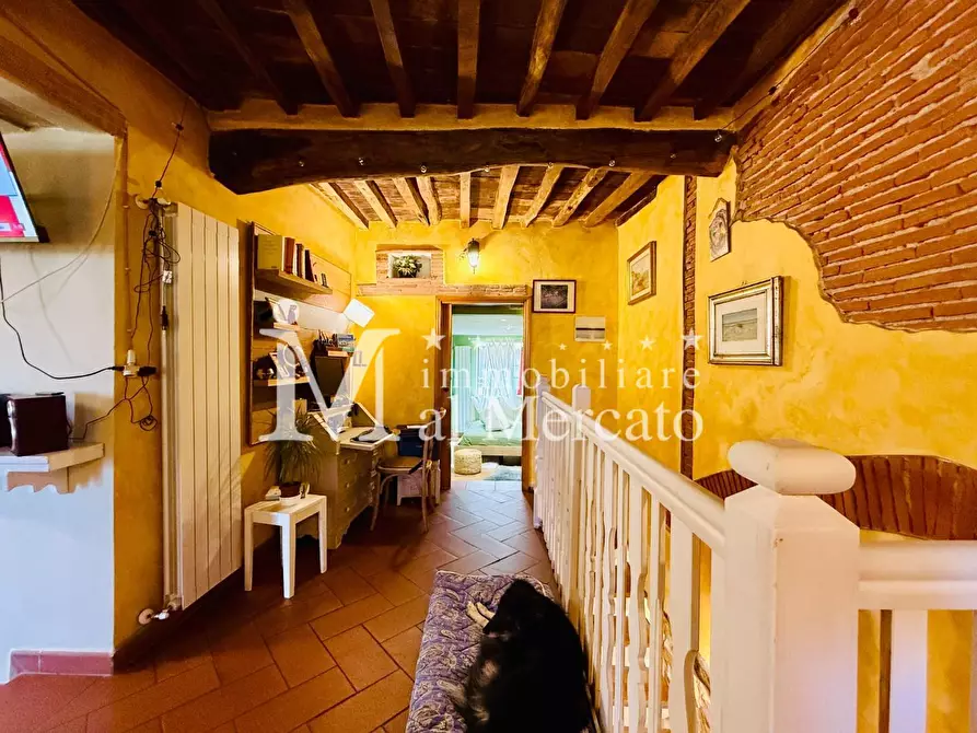 Immagine 39 di Rustico / casale in vendita  a Camaiore