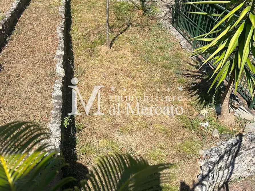 Immagine 70 di Rustico / casale in vendita  a Camaiore