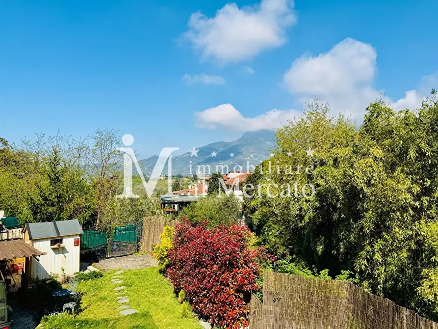 Immagine 34 di Rustico / casale in vendita  a Camaiore