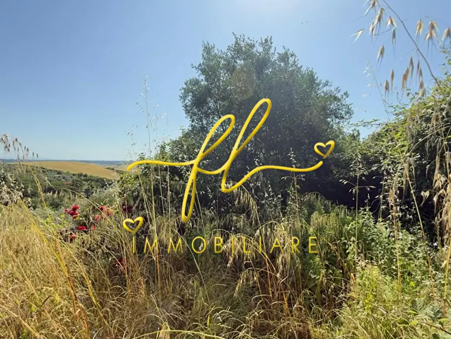 Immagine 6 di Appartamento in vendita  a Collesalvetti