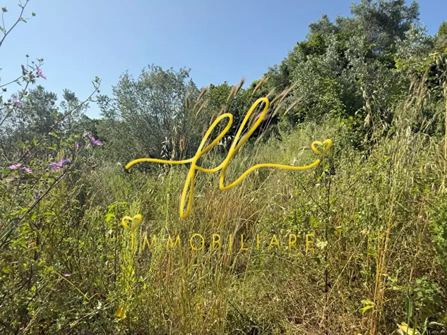 Immagine 14 di Appartamento in vendita  a Collesalvetti