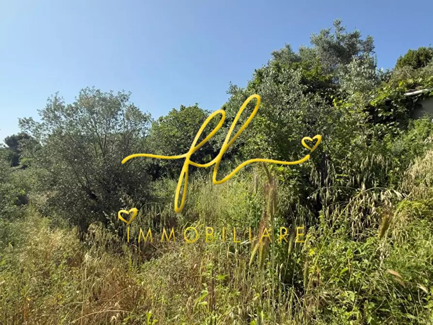 Immagine 19 di Appartamento in vendita  a Collesalvetti