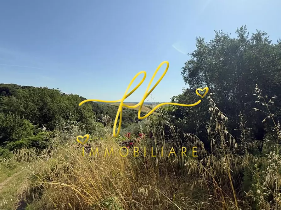 Immagine 20 di Appartamento in vendita  a Collesalvetti