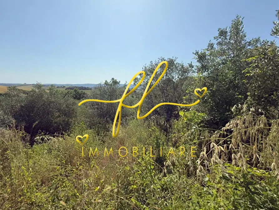 Immagine 15 di Appartamento in vendita  a Collesalvetti