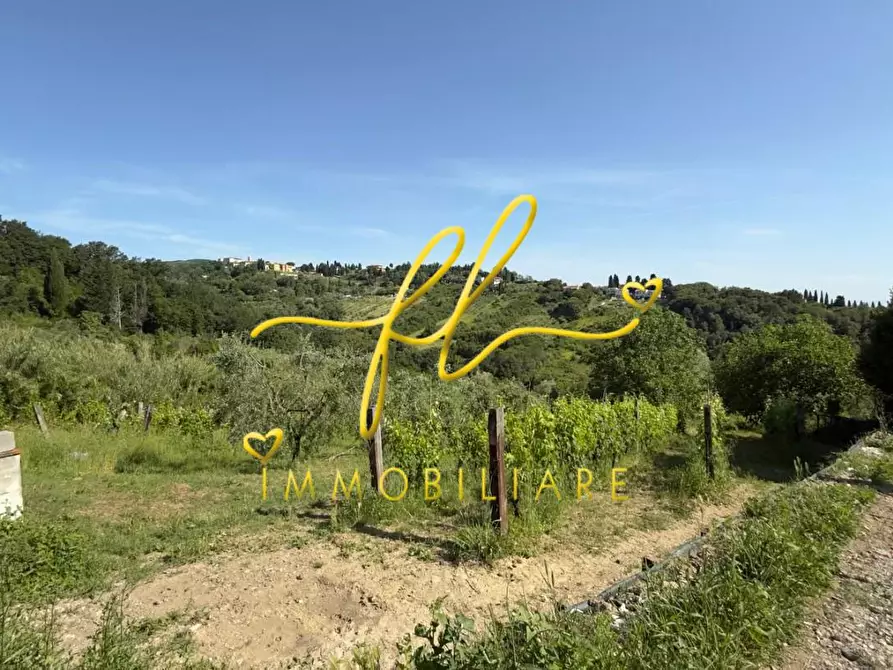 Immagine 18 di Appartamento in vendita  a Collesalvetti