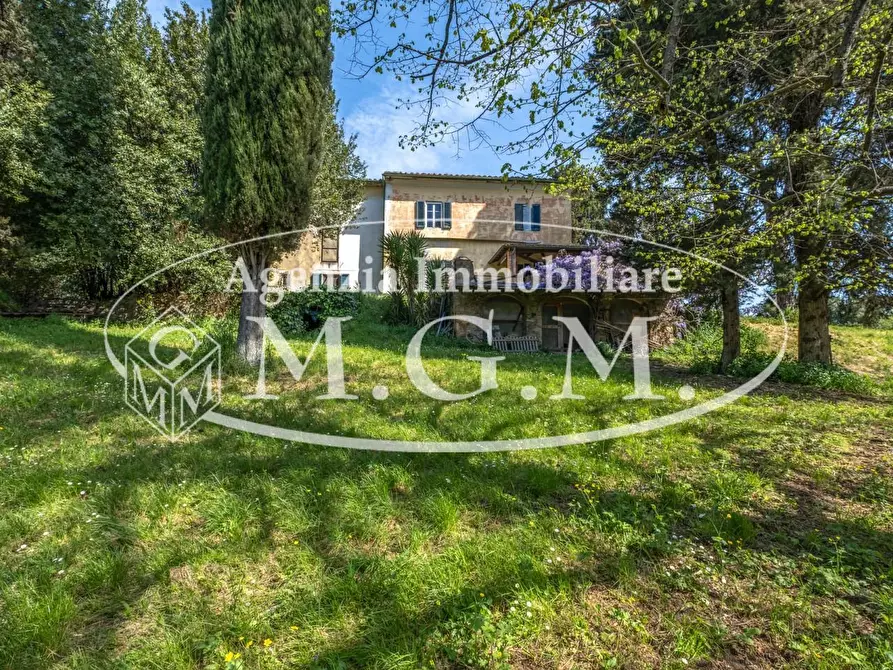 Immagine 21 di Villa in vendita  a Buti