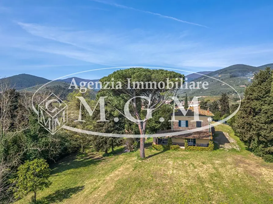 Immagine 2 di Villa in vendita  a Buti