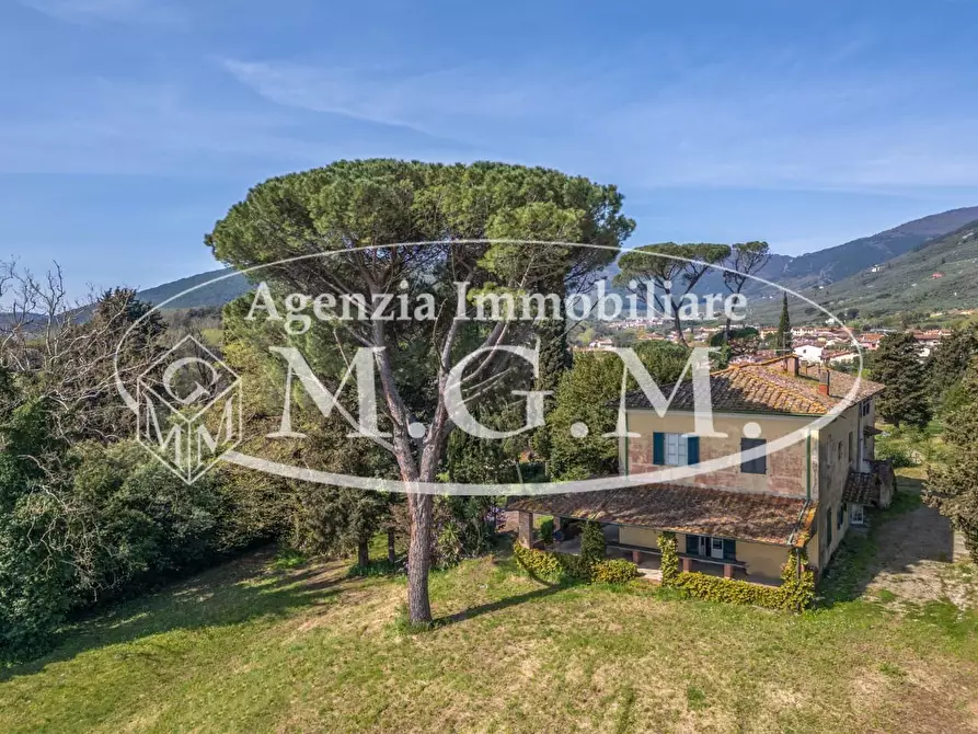 Immagine 6 di Villa in vendita  a Buti