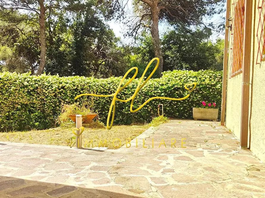 Immagine 26 di Appartamento in vendita  a Rosignano Marittimo