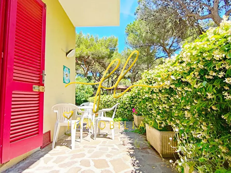 Immagine 9 di Appartamento in vendita  a Rosignano Marittimo