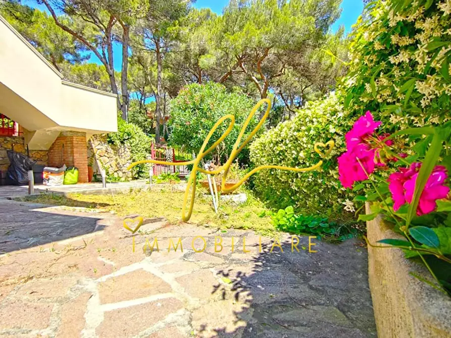 Immagine 20 di Appartamento in vendita  a Rosignano Marittimo