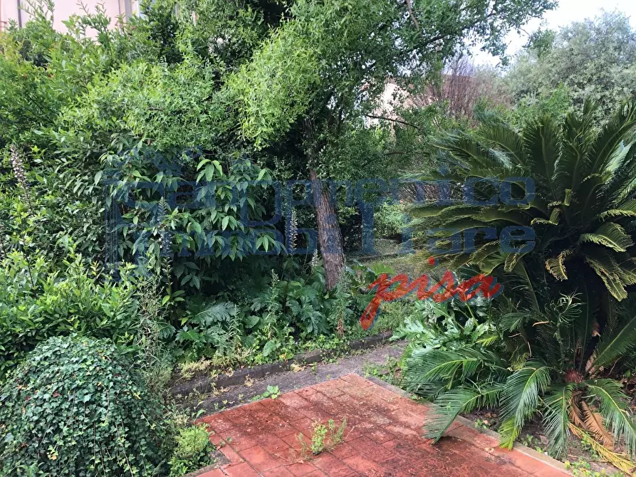 Immagine 17 di Villa in vendita  a San Giuliano Terme