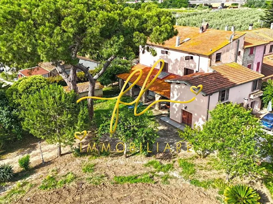 Immagine 55 di Casa colonica in vendita  a Cecina