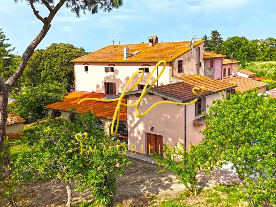 Immagine 59 di Casa colonica in vendita  a Cecina
