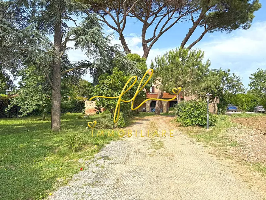 Immagine 49 di Casa colonica in vendita  a Cecina