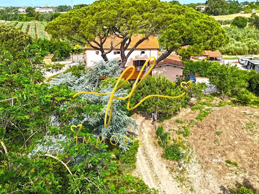 Immagine 65 di Casa colonica in vendita  a Cecina