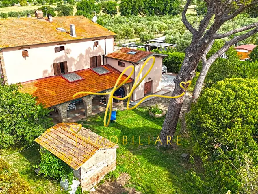Immagine 61 di Casa colonica in vendita  a Cecina