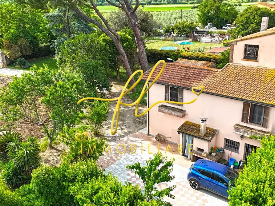 Immagine 63 di Casa colonica in vendita  a Cecina