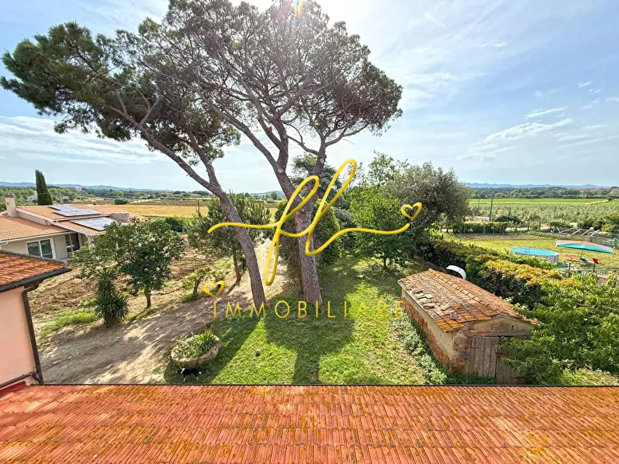 Immagine 53 di Casa colonica in vendita  a Cecina