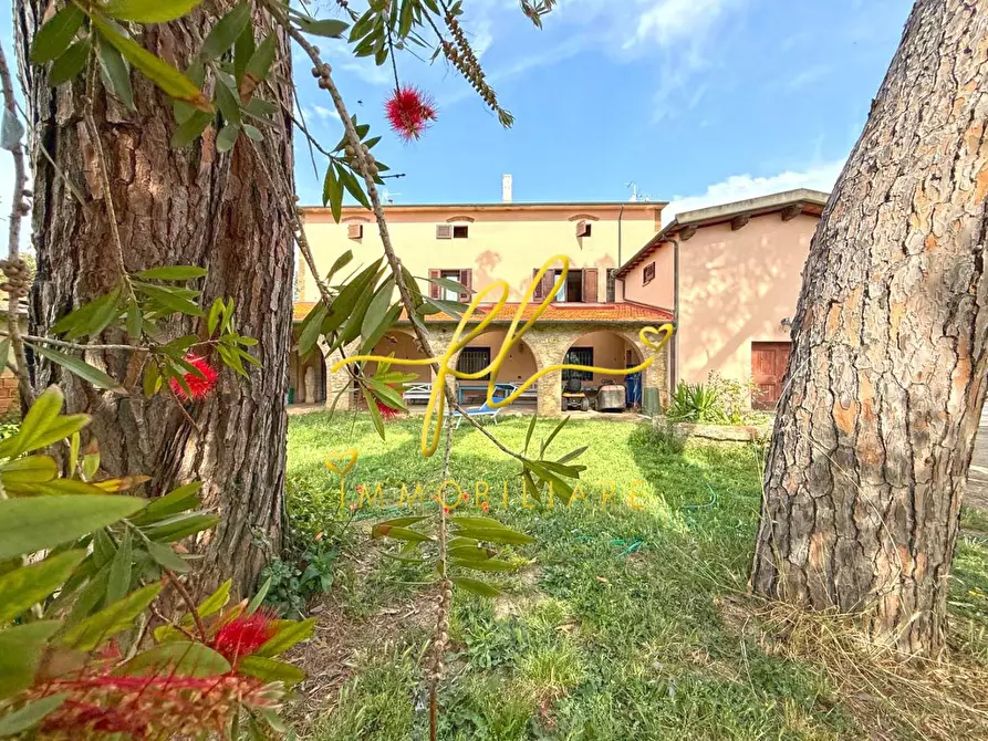 Immagine 5 di Casa colonica in vendita  a Cecina