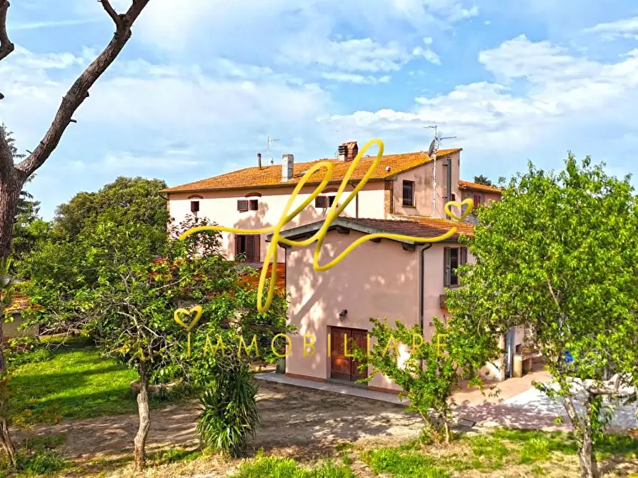 Immagine 58 di Casa colonica in vendita  a Cecina