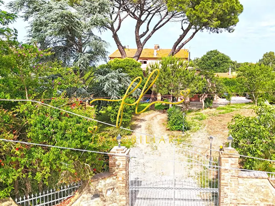 Immagine 64 di Casa colonica in vendita  a Cecina