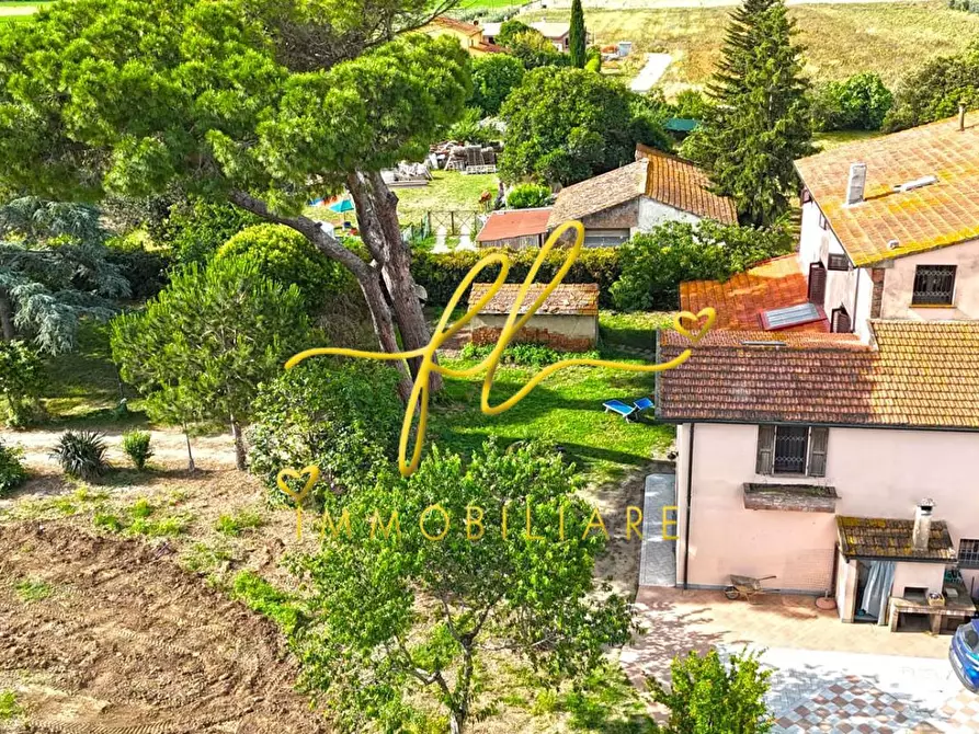 Immagine 56 di Casa colonica in vendita  a Cecina