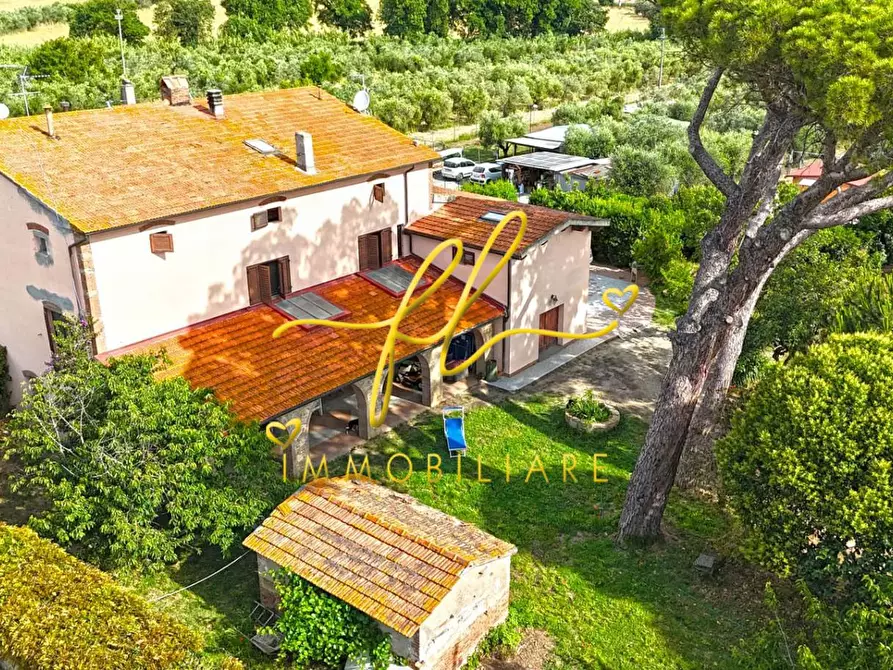 Immagine 1 di Casa colonica in vendita  a Cecina