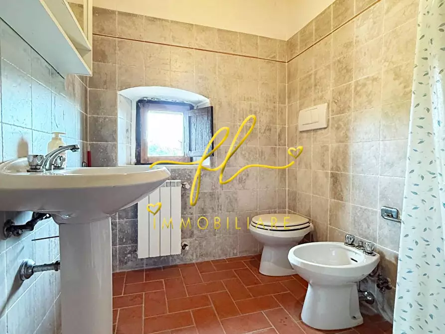 Immagine 48 di Casa colonica in vendita  a Cecina