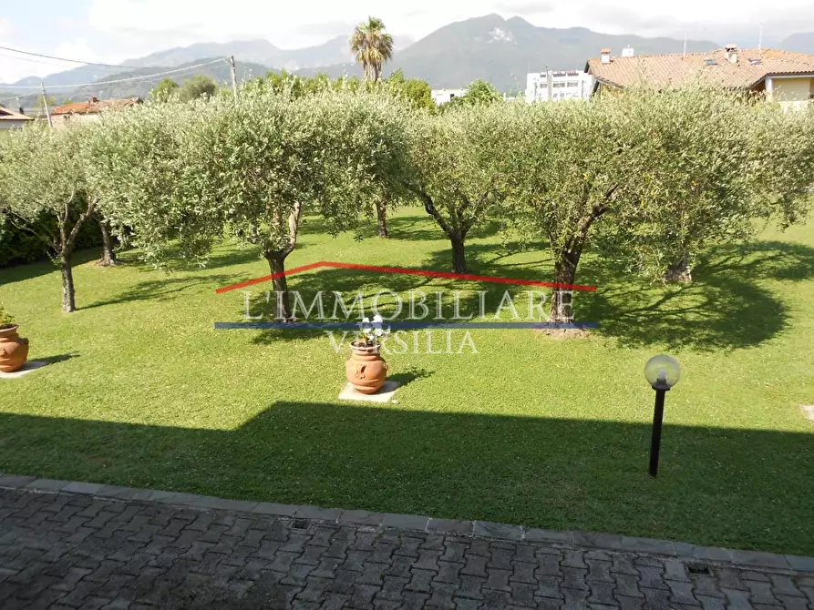 Immagine 9 di Villa in vendita  a Massa