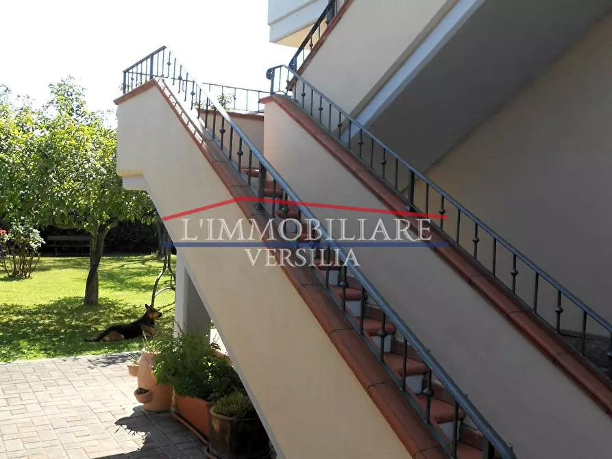 Immagine 48 di Villa in vendita  a Massa