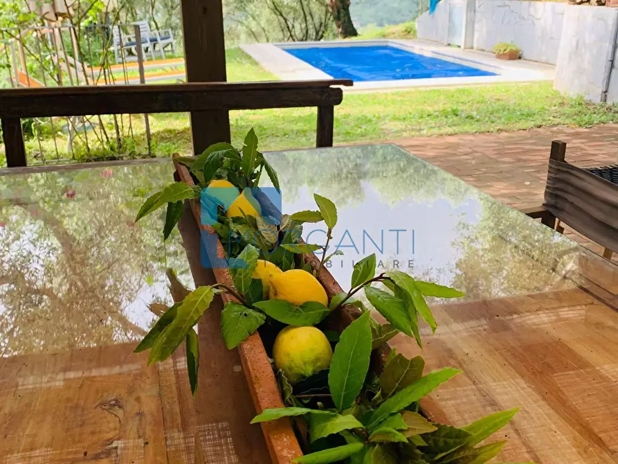 Immagine 8 di Villa in vendita  a Camaiore