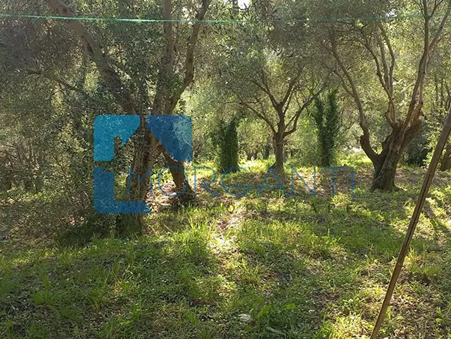 Immagine 32 di Villa in vendita  a Camaiore