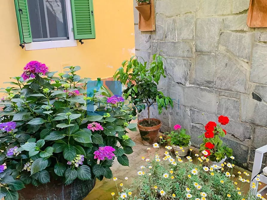 Immagine 13 di Villa in vendita  a Camaiore