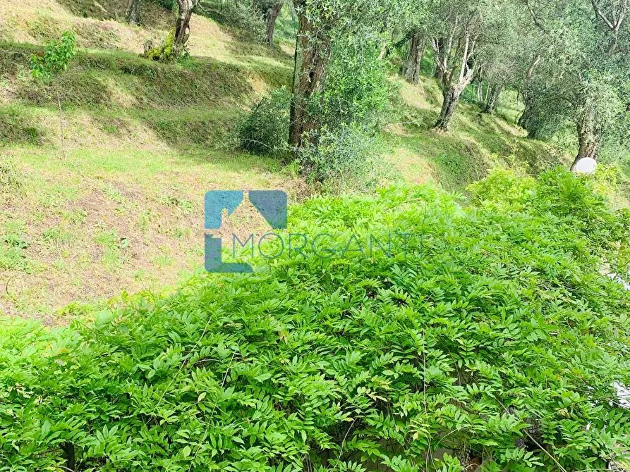 Immagine 9 di Villa in vendita  a Camaiore