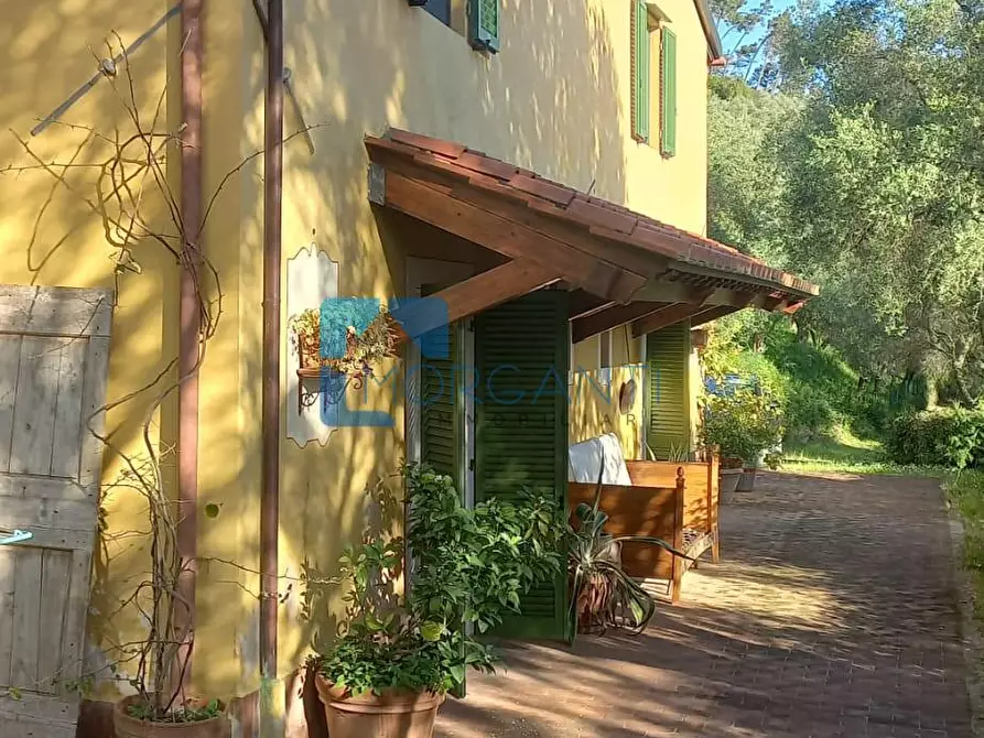 Immagine 28 di Villa in vendita  a Camaiore