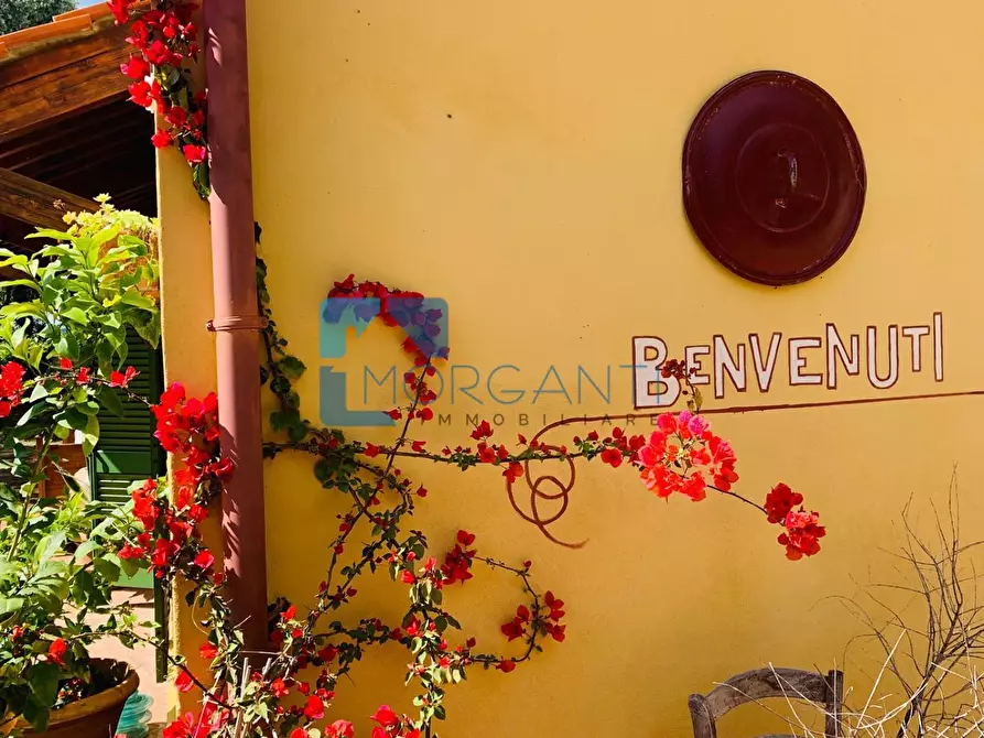 Immagine 3 di Villa in vendita  a Camaiore