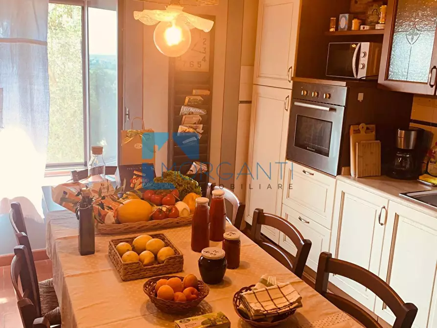 Immagine 15 di Villa in vendita  a Camaiore